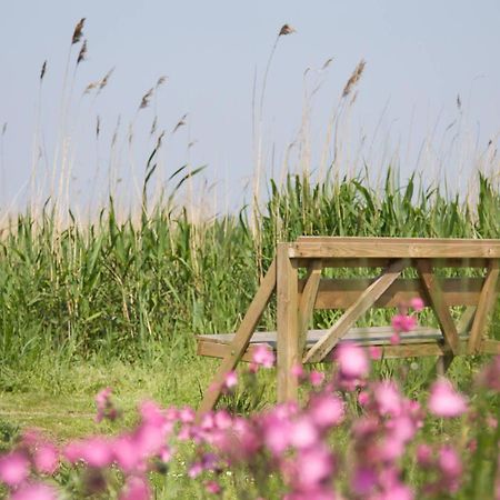 De Tijnjehoeve Boornzwaag over de Wielen Exterior photo